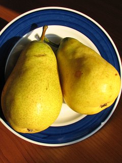 Grusza pospolita - owoce