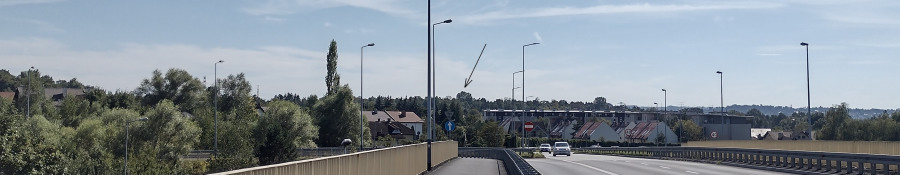 Topole biae w Krakowie-Swoszowicach